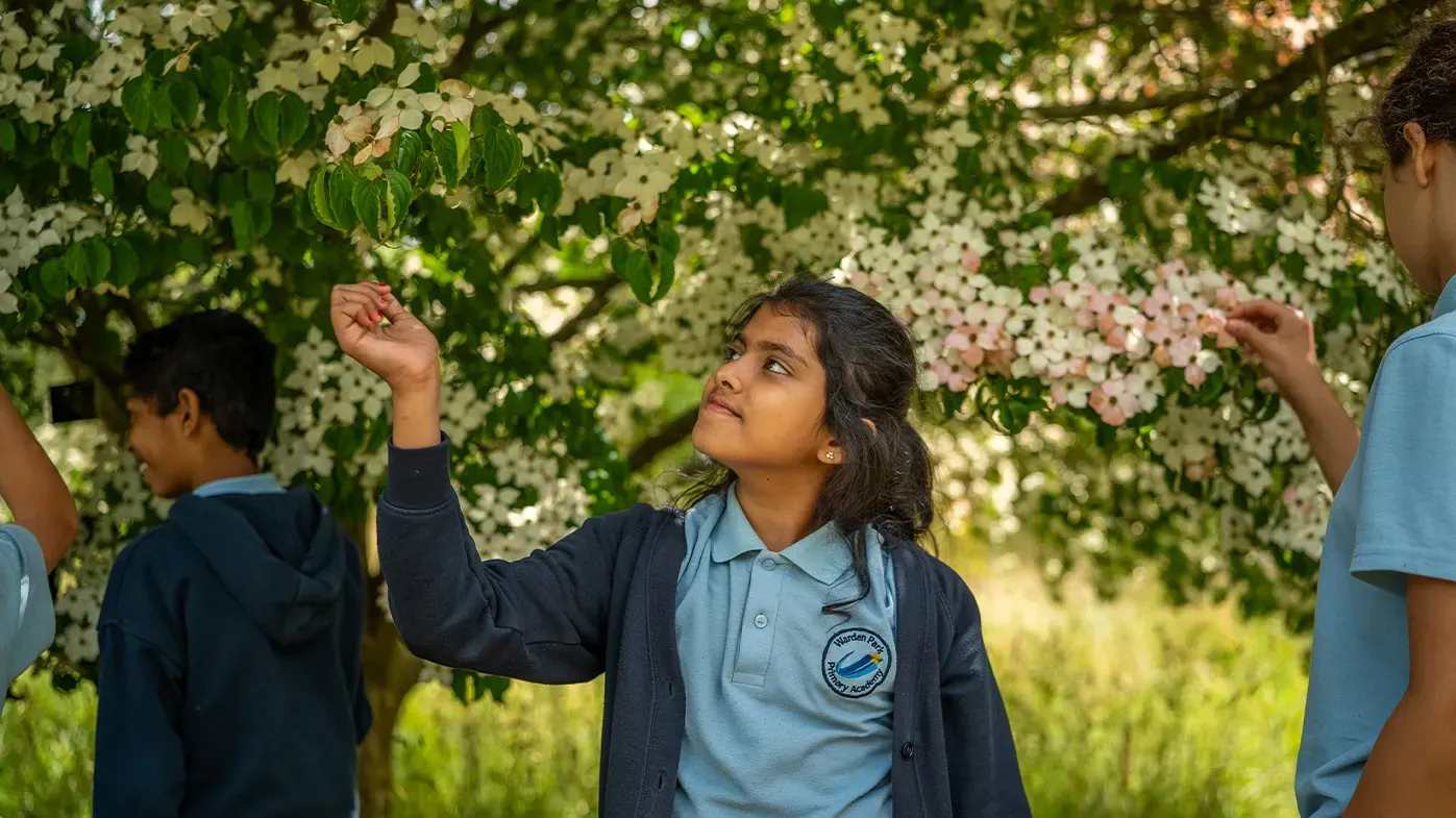 Nature Connectedness research, Visual Air © RBG Kew A group of school children look at the branches of a tree