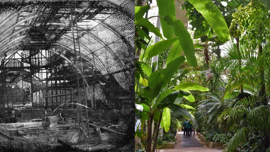 Palm House interior then and now © RBG Kew | © Ellen McHale/RBG Kew