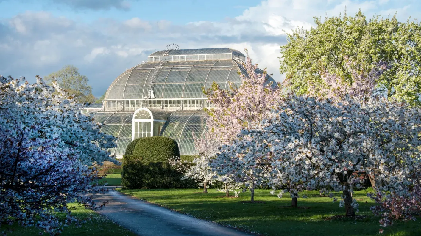 Palm House at Kew Gardens © RBG Kew