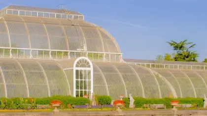 Palm House Palm House in summer