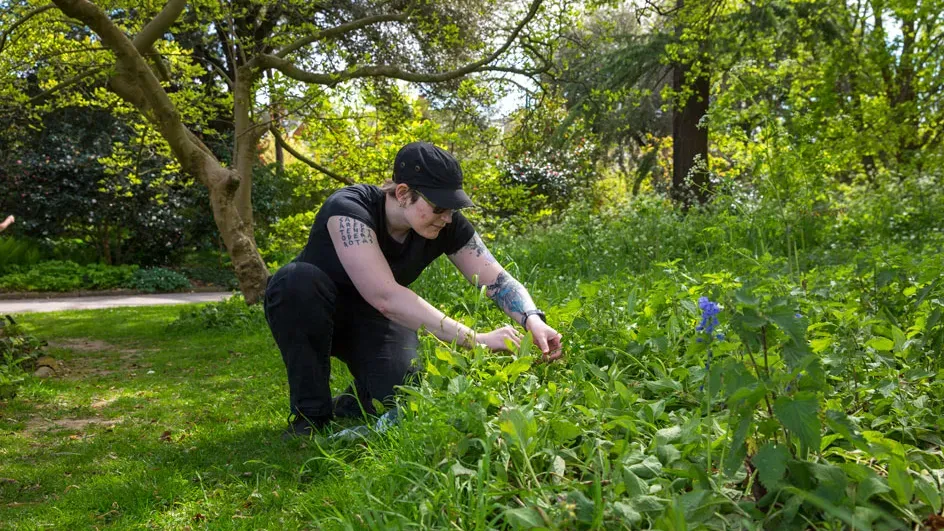 PhD student collecting plants © RBG Kew.