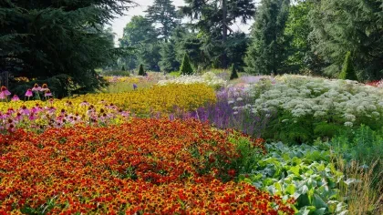 Great Broad Walk Borders, Richard Wilford © RBG Kew
