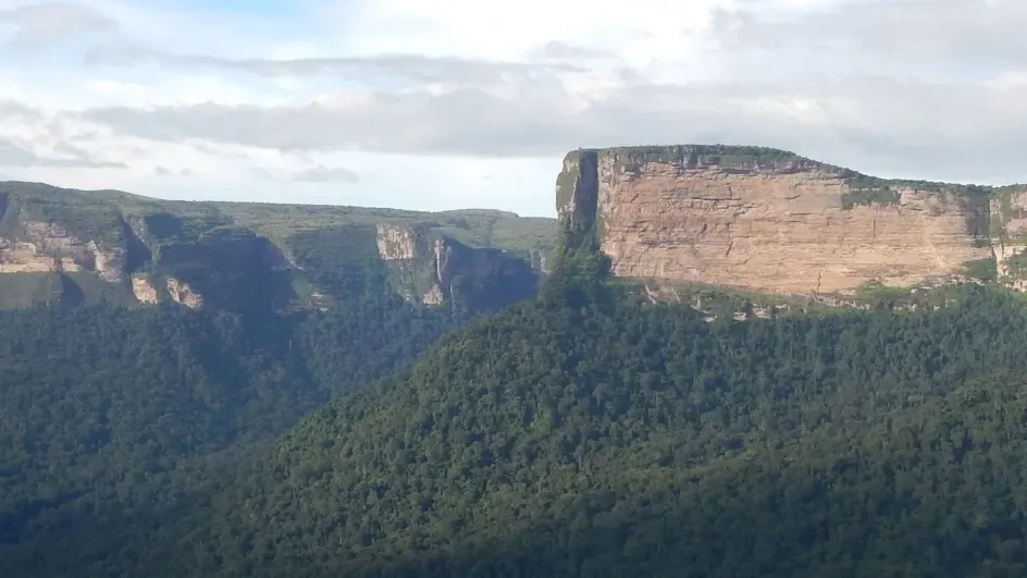 Plateau de Benna, Guinea. Credit RBG Kew/X. van der Burgt.