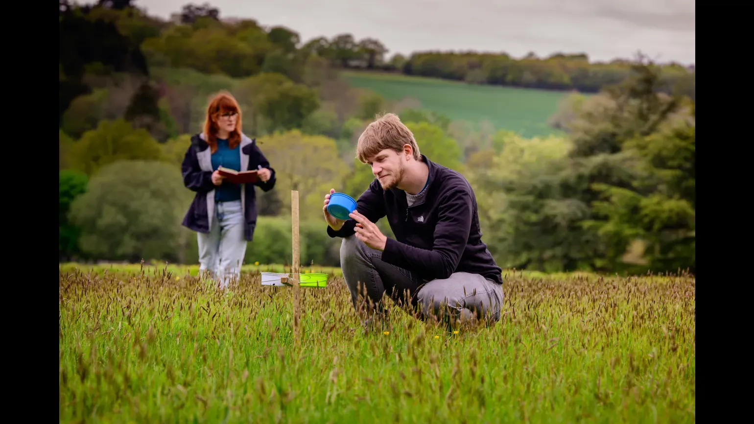 Landscape Ecology Programme researchers at Wakehurst, Jim Holden © RBG Kew Two researchers kneeling down in a field inspecting plants and pollinators
