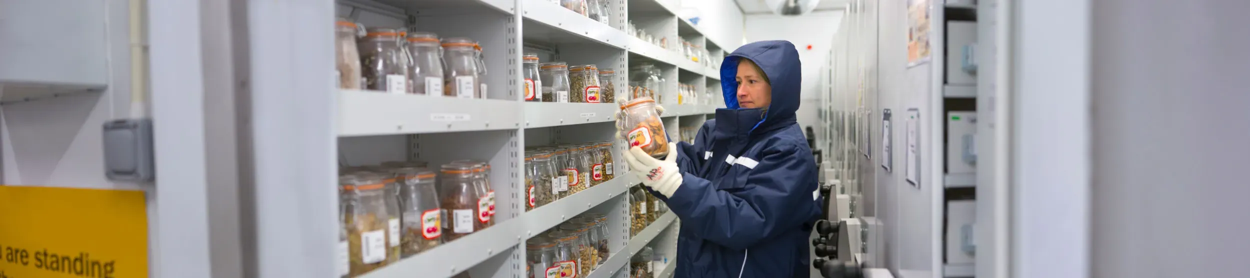 In the vault of the Millennium Seed Bank © RBG Kew Researcher wearing large protective coat, holding jar of seeds, in the vault of the Millennium Seed Bank