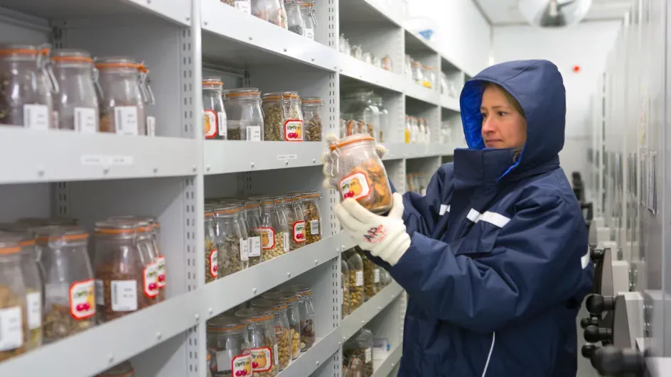 In the vault of the Millennium Seed Bank © RBG Kew