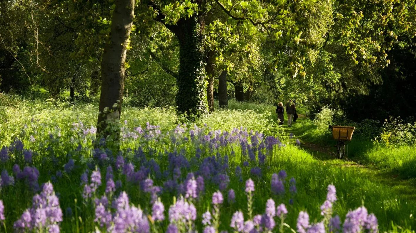 Riverside walk in the Arboretum © RBG Kew