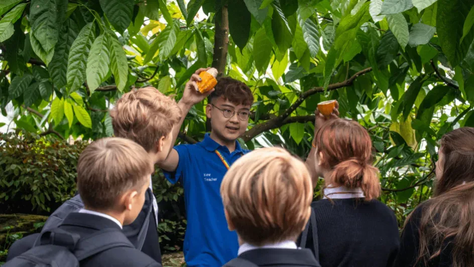 Kew school group