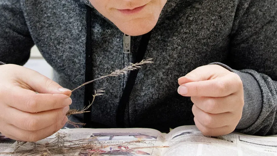 Scientist inspecting a specimen