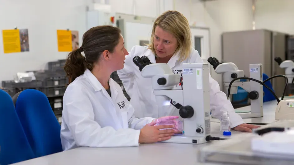 Researchers in the MSB © RBG Kew.