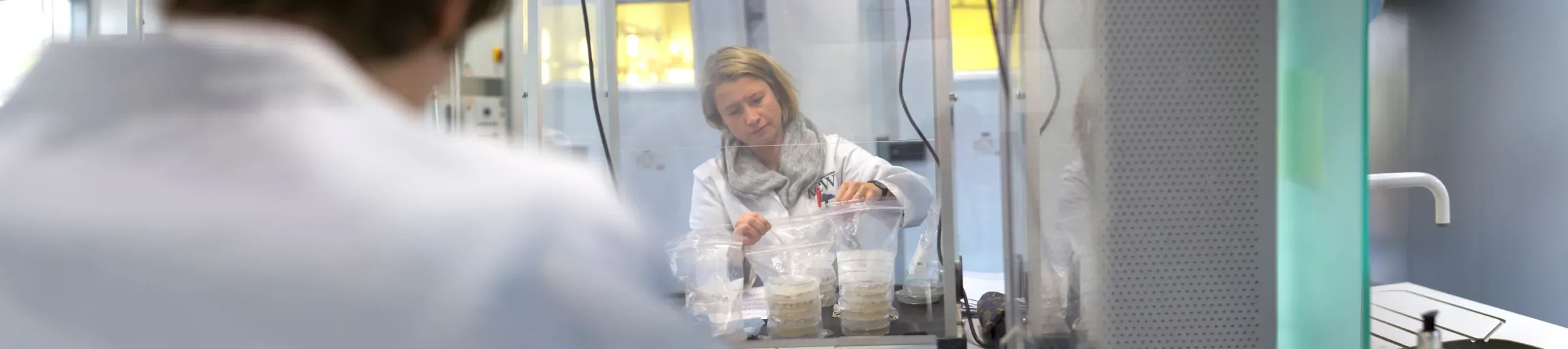 Kew's seed laboratories © RBG Kew. Researchers in white coats in the seed labs with bags of agar plates