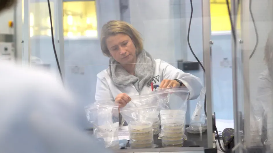 Kew's seed laboratories © RBG Kew.