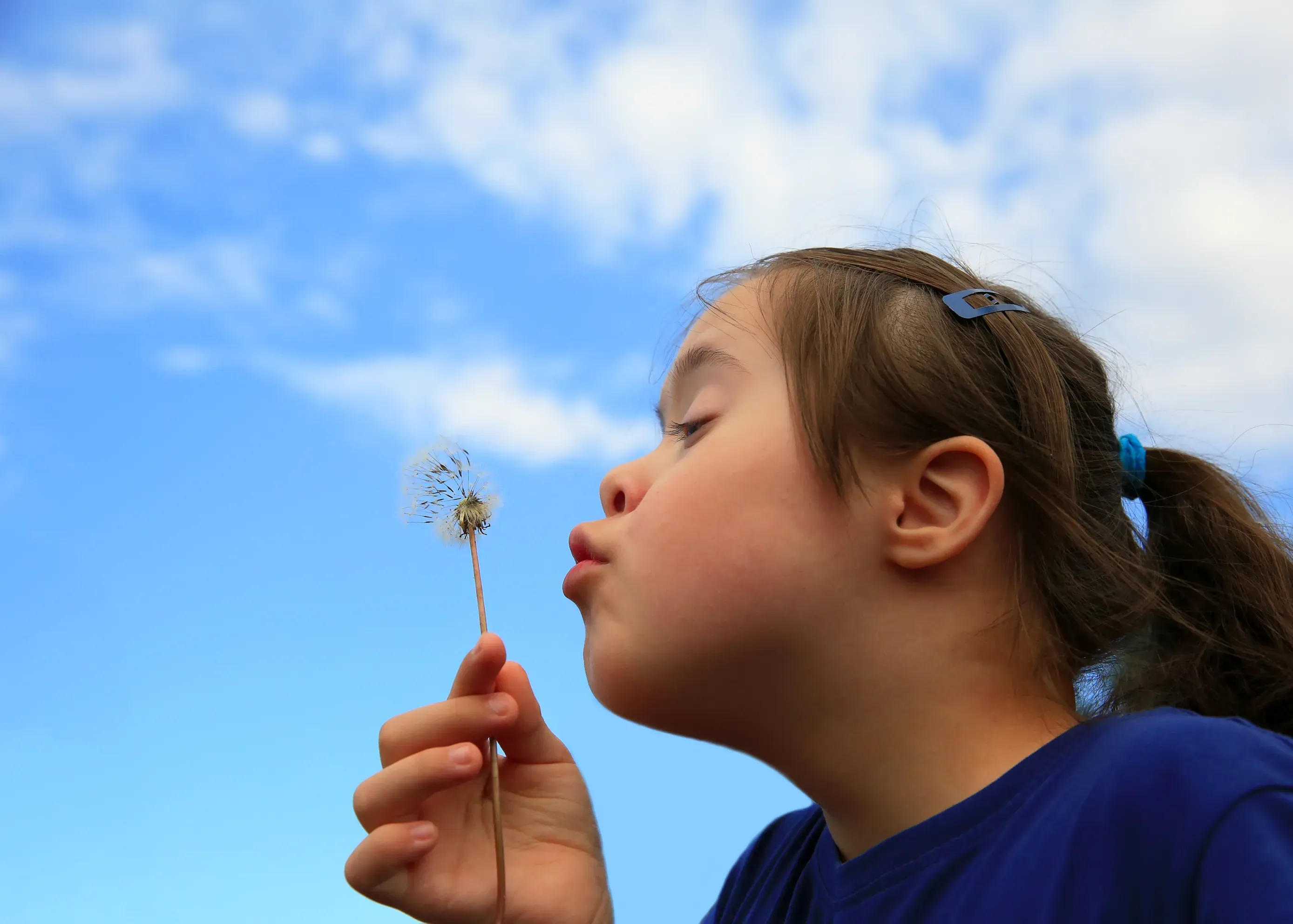 SEND Family Sensory Tours Young girl blowing a daffodil seed head