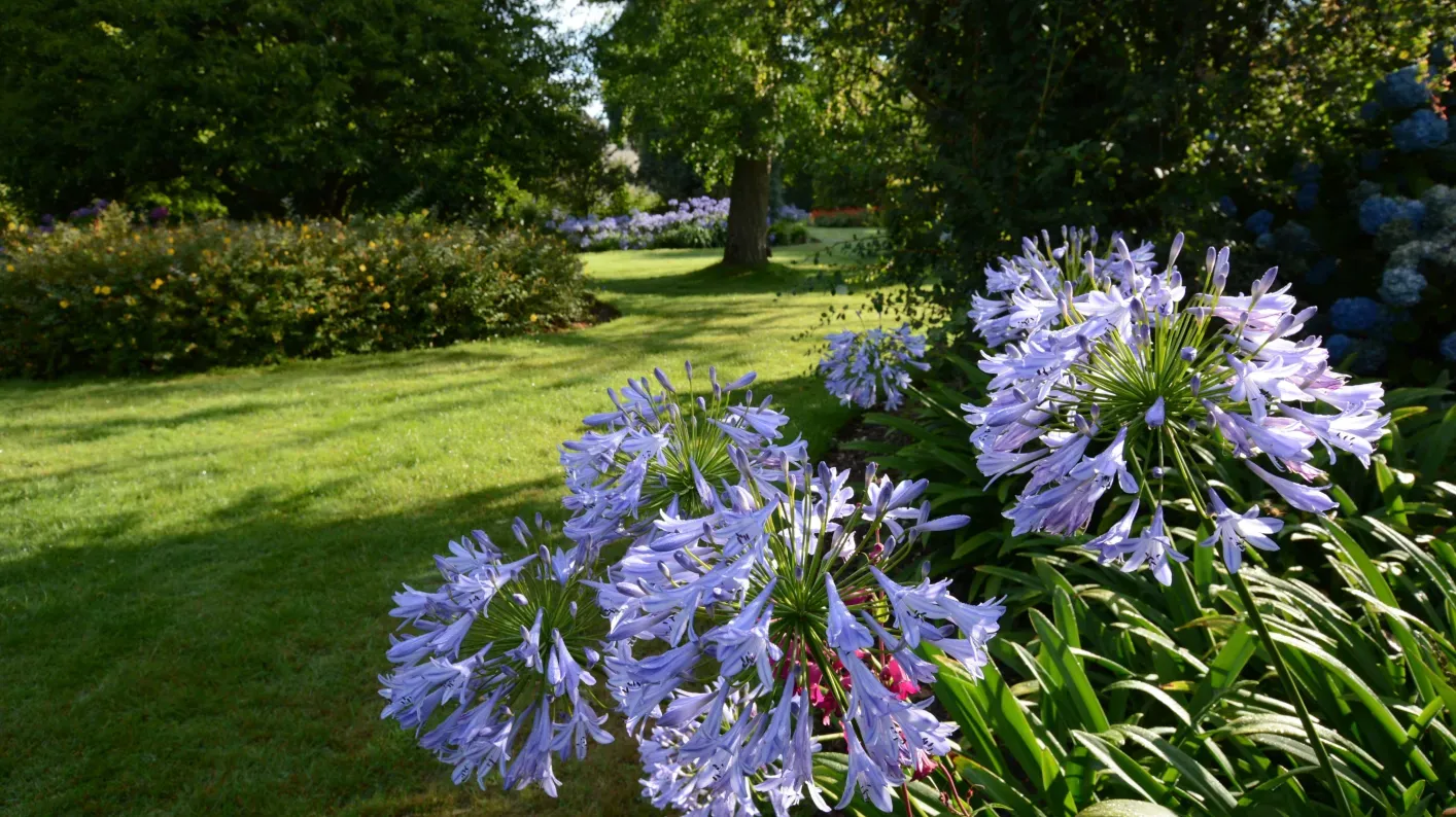 Southern Hemisphere Garden, Wakehurst, Chris Clennett