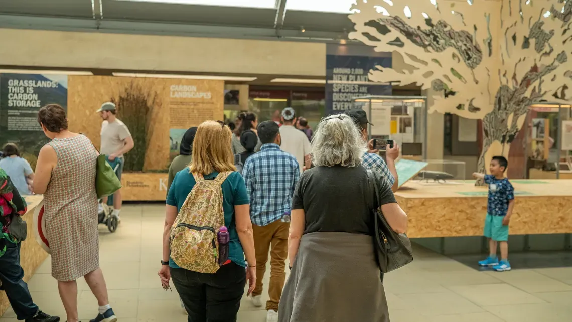 Spring into Community at Wakehurst