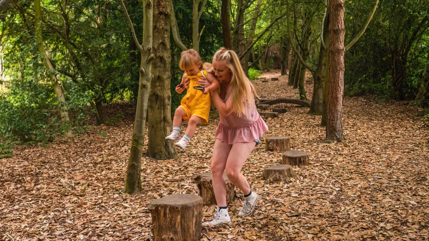 Tree Trunk Trek