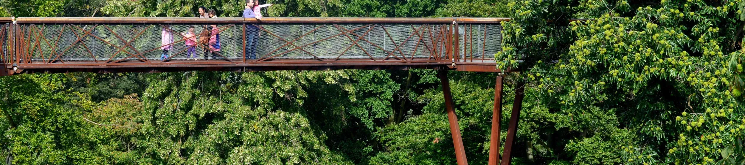 Treetop walkway © RBG Kew A view of the Treetop walkway