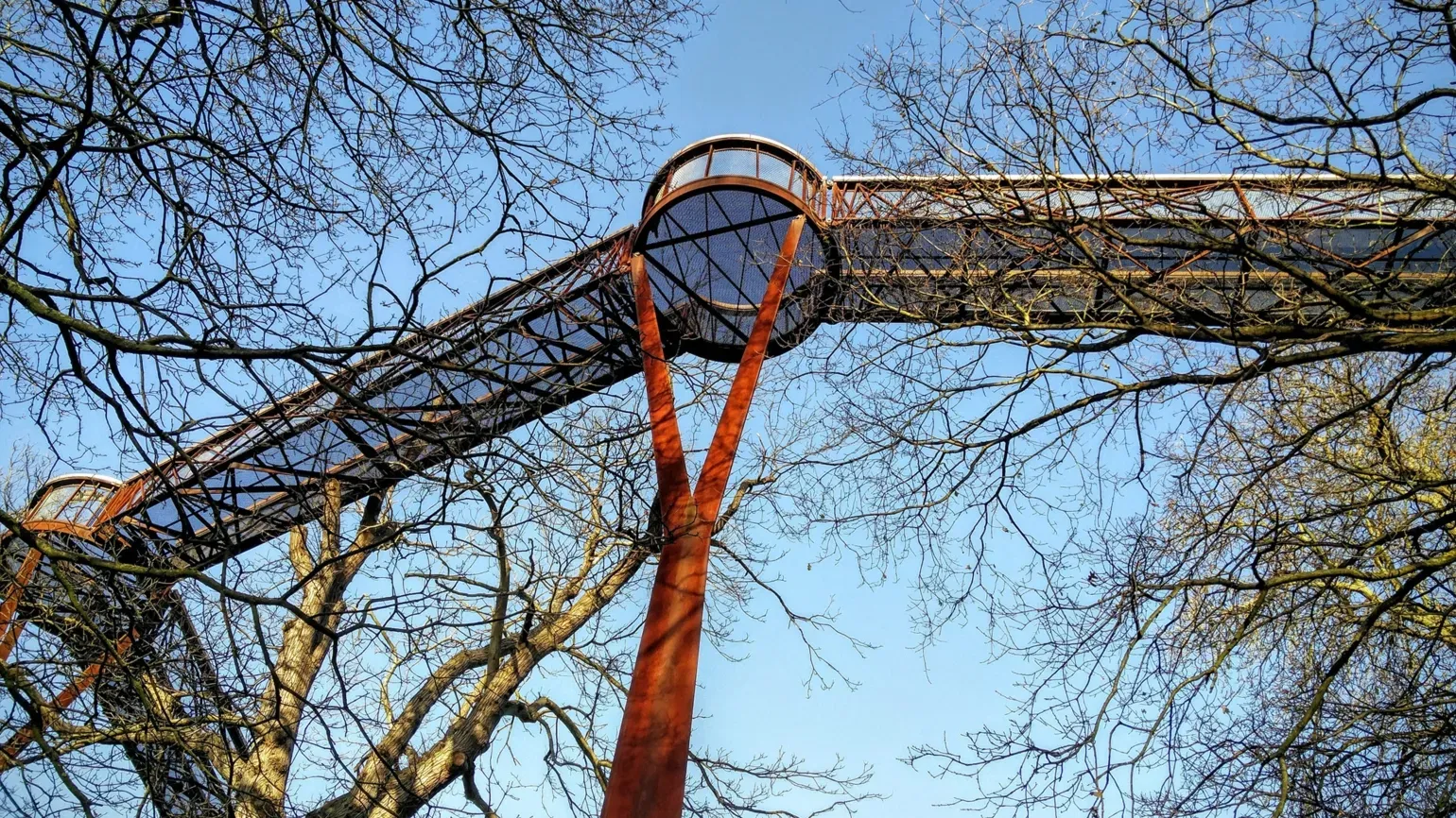 Treetop Walkway, RBG Kew Skyview of the Treetop Walkway