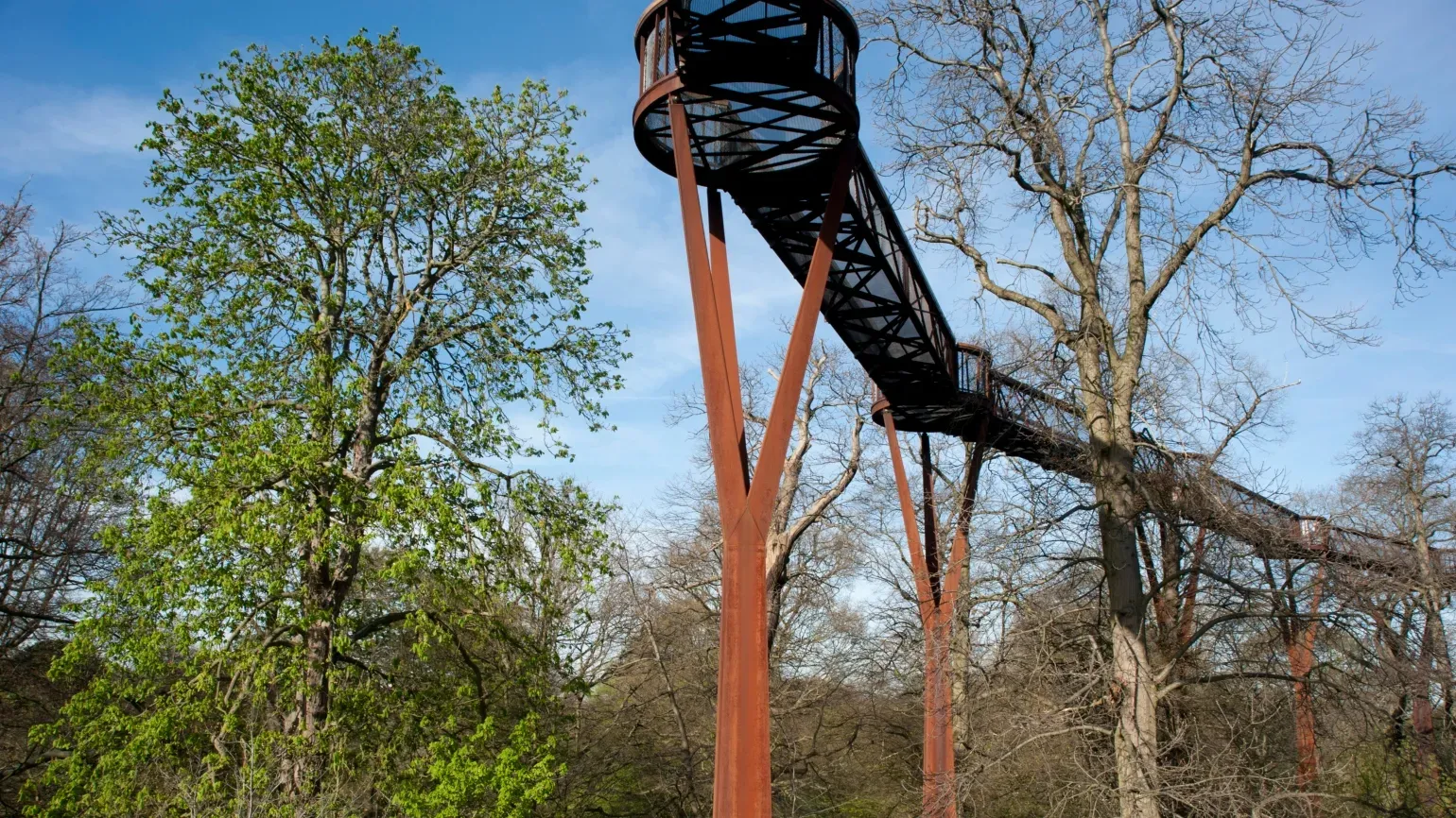 Treetop Walkway, RBG Kew Treetop Walkway beneath a blue sky