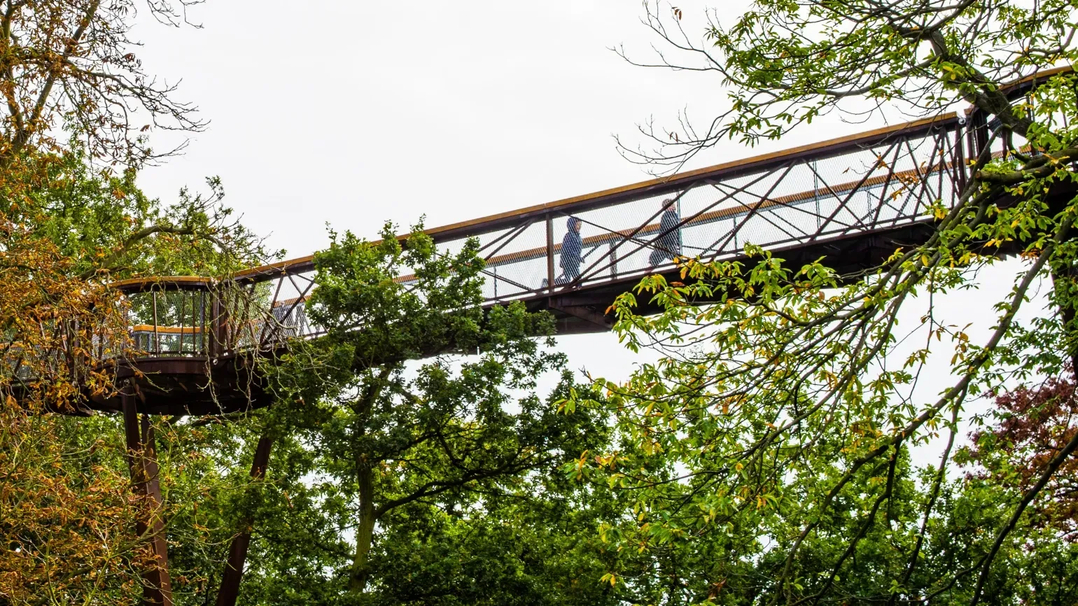Treetop Walkway, RBG Kew Children walking along the Treetop Walkway