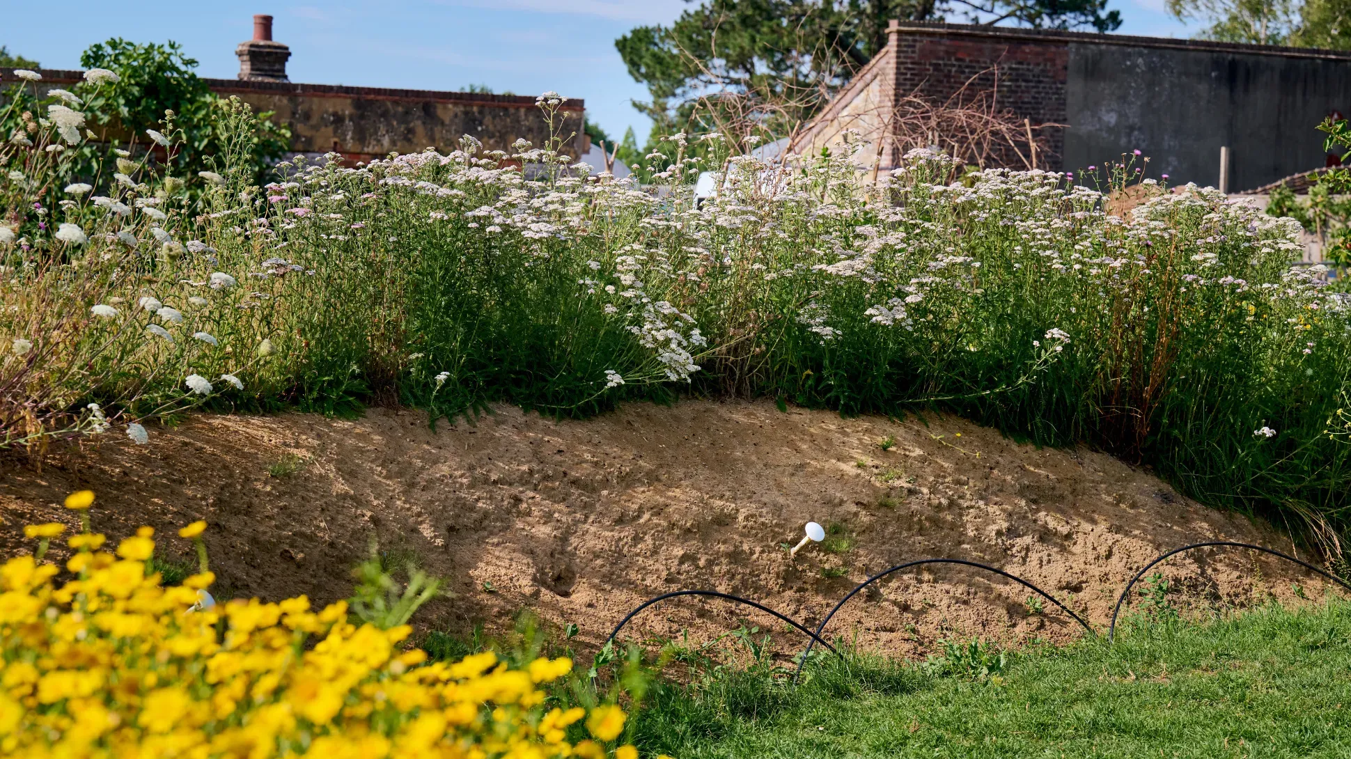 Bee Bank
