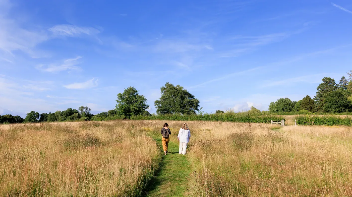 Coronation Meadow