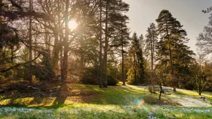 Bloomers Valley in winter Winter forest bathing