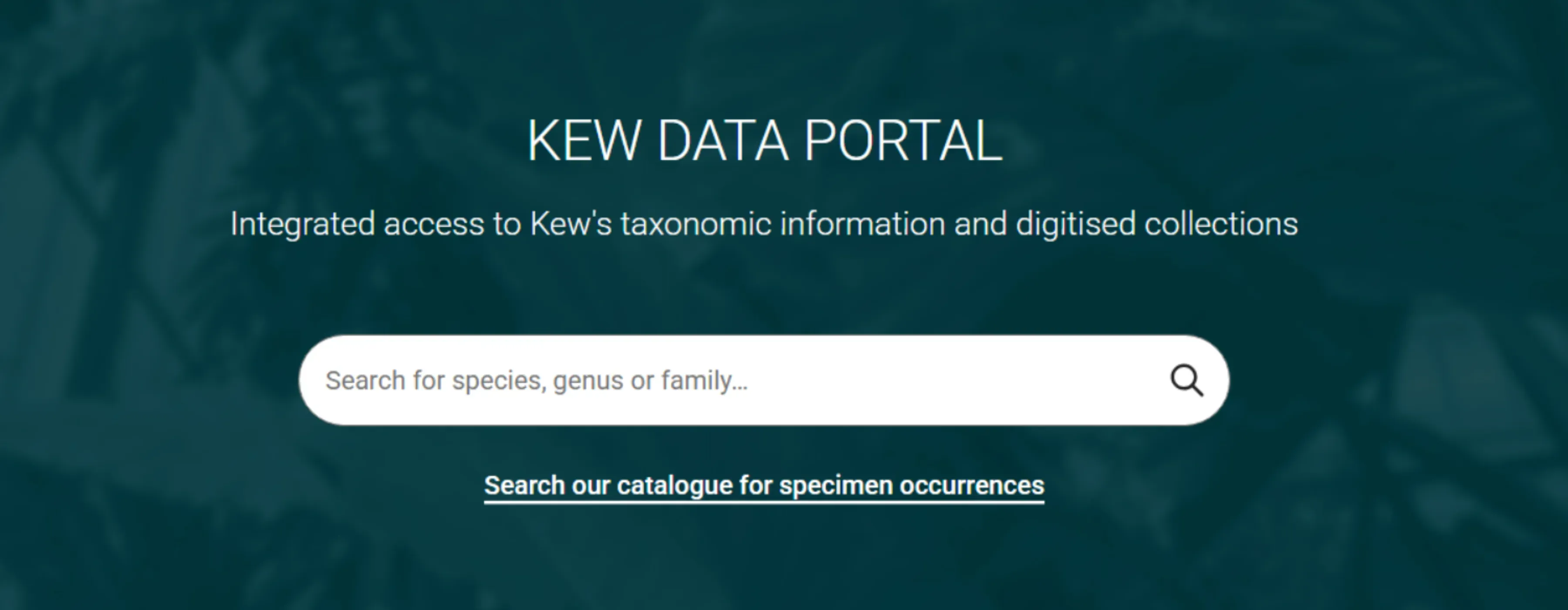Kew Data Portal – Search Kew’s taxonomic and digitised collections Kew Data Portal homepage providing integrated access to Kew’s digitised botanical collections and taxonomic data, featuring a central search bar for plant species, genus, or family names, and a link to search specimen occurrence records.
