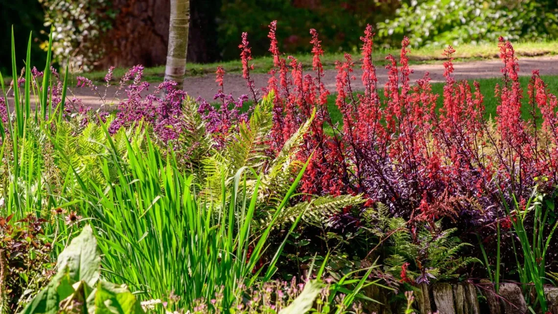 Wakehurst's Bog Garden, Jim Holden © RBG Kew
