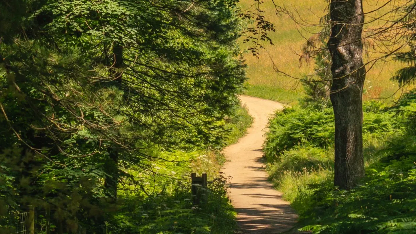 Wakehurst's Horsebridge Woods, Visual Air © RBG Kew