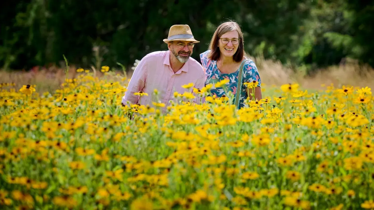 Visitors on the American Prairie, Jim Holden © RBG Kew A adult couple surrounded by yellow rudbeckia flowers