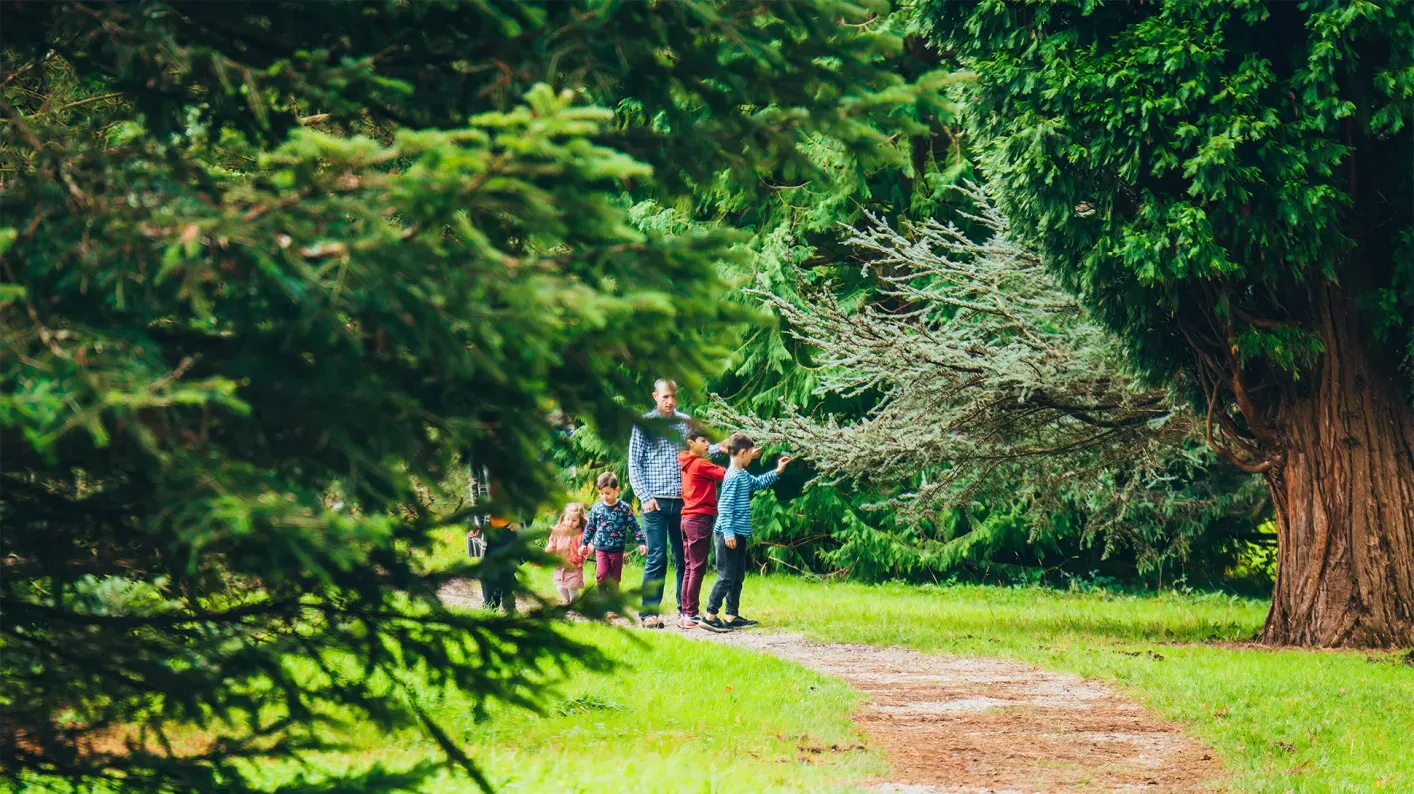 Wakehurst Pinetum, Visual Air © RBG Kew