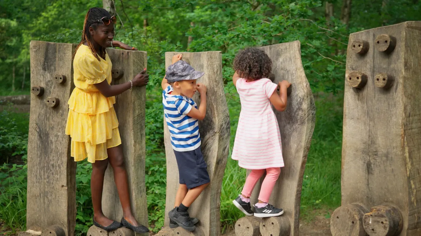 Tree Trunk Trek at Wakehurst, Visual Air © RBG Kew
