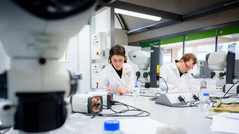 168一分钟极速赛车官网 botanical Propagation Assistant, Eliana Van Der Schraft, is scarifying seed under a microscope to check the quality and to check for infections.