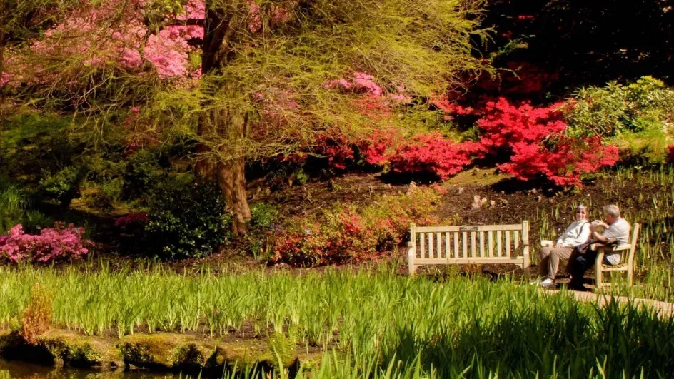 Wakehurst rhododendrons in spring © RBG Kew/Jim Holden