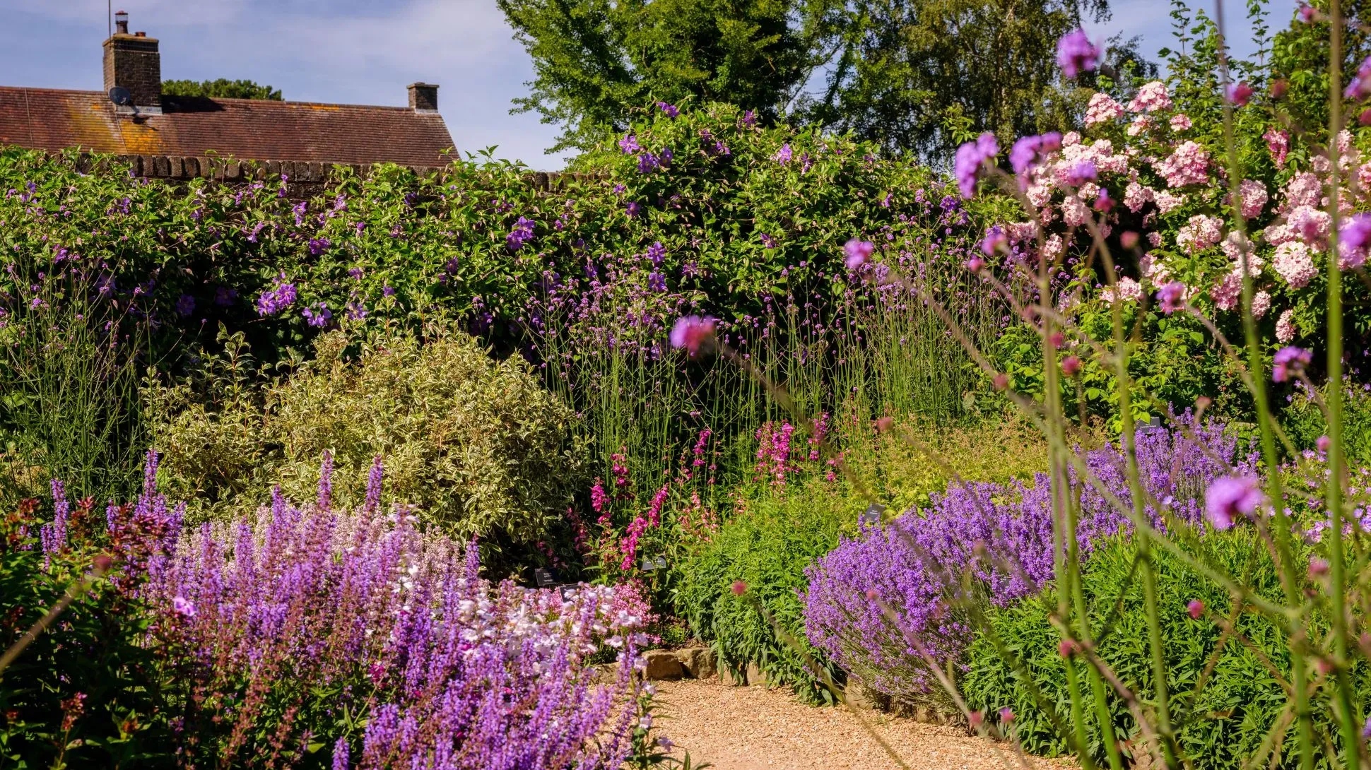 Walled Garden at Wakehurst, Jim Holden © RBG Kew A busy walled garden full of purple and pink flowers