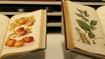 Library and Archives Two library books opened to show plant illustrations