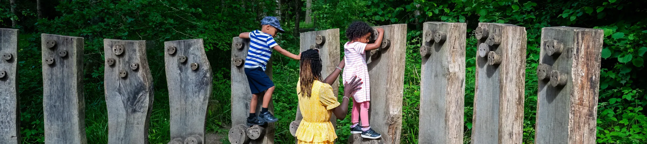 Tree Trunk Trek
