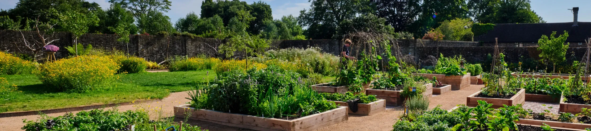 Children's and Community Garden