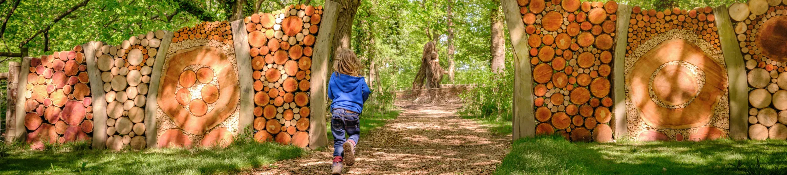 Wild Wood