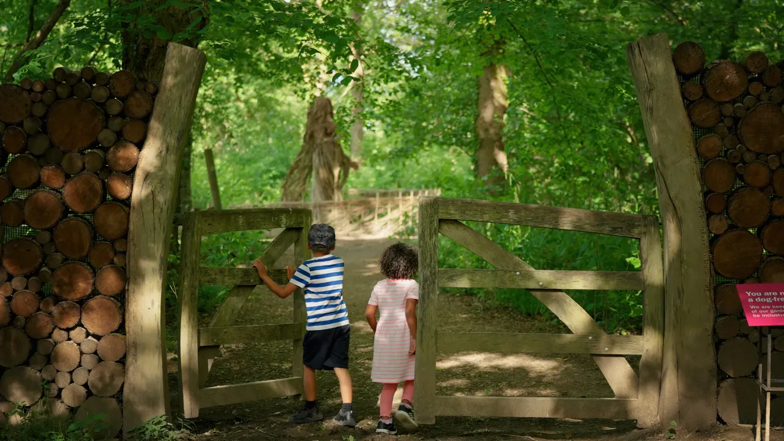 Wild Wood Gallery image 1